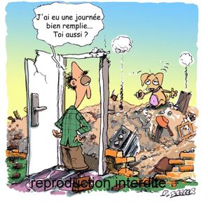 Mon chiot fait des bêtises