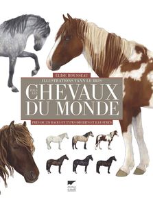 Gardians de Camargue, peuple cavalier et chevaux blancs