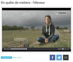 Élevage de chevaux Pemp Heol : murmurer à l’oreille des (breizh) mustangs