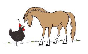 Tout pour mon cheval