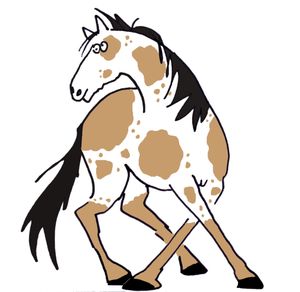 Tout pour mon cheval