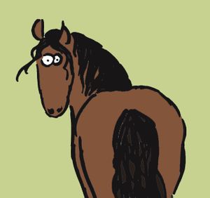 Le cheval d'Auvergne, un beau méconnu