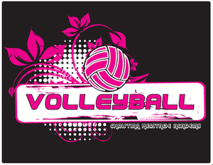 AS Villebon Volleyball Essonne recrute