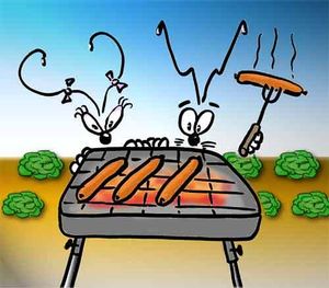 Barbecue AS Villebon Volley-ball