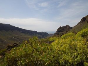 TRANSGRANDCANARIA -"LA TRAVERSEE"-PAR- CEDRIC-DUPUICH