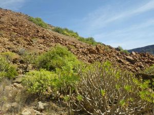 TRANSGRANDCANARIA -"LA TRAVERSEE"-PAR- CEDRIC-DUPUICH