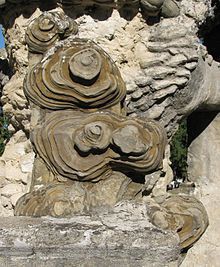 La pierre d'achoppement du facteur Cheval