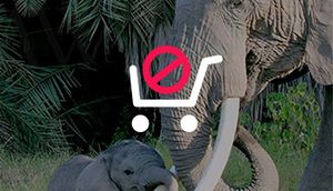 STOP au commerce en ligne des espèces sauvages menacées d'extinction