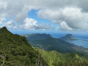 Immersion île Maurice, Dodo Trail