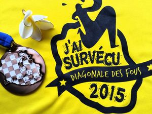 Une diagonale 2015 dans le panier