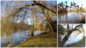 Les bords de Seine à Rueil-Malmaison