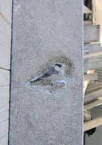 Gravure sur Pierre Bleue de Soignies