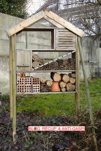 Tailles des framboisiers pour hôtel à insectes