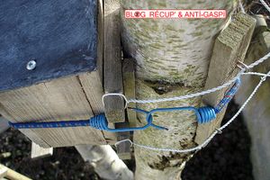Nichoir à oiseaux sans blesser l'arbre
