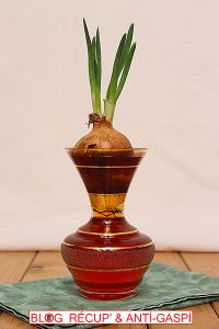 Obtenir un Substitut de Fines Herbes