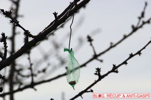 Boules de poils de chien pour nids