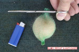 Boules de poils de chien pour nids