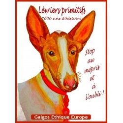 Podencos, lévriers primitifs, 7000 ans d'histoire