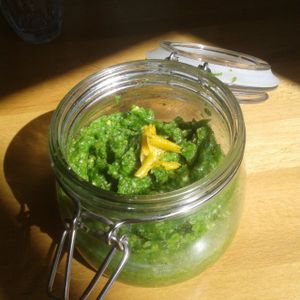 Pesto de fânes de radis au citron