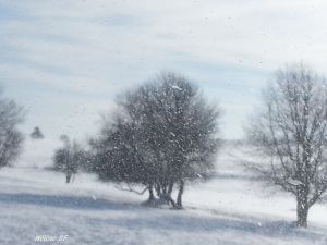 Poème Flocons de magie