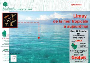 Sortie Naturaliste à la RNR Limay _ Dimanche 17 Janvier 2016