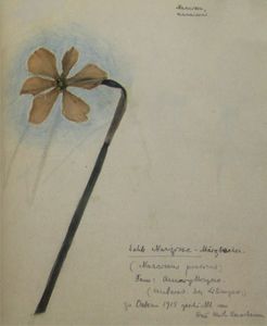 Rosa Luxemburg en mars 1915 (inédit)