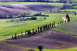 Tuscan landscape