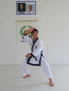 Rentrée des cours de Soo Bahk Do 2016-17