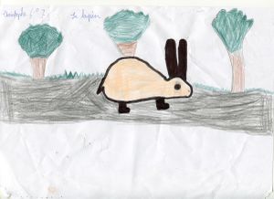 Lapin