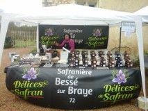 notre stand à la fête des plantes