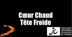 Reactions from the Communist Youth of Paris' 15th district on the attacks of the 13th of November