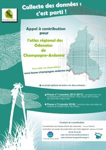 Appel à contribution - Atlas des odonates de Champagne-Ardenne