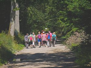 Marche du 7 juillet 2016