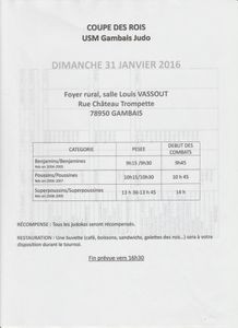 TOURNOI GAMBAIS - DIMANCHE 31 JANVIER 2016 -
