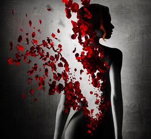 ROSE DE SANG NOIR N°43, 44 ET 45