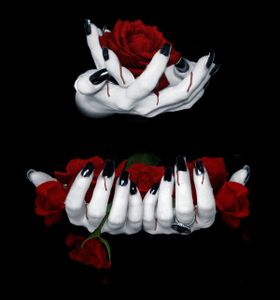 ROSE DE SANG NOIR N°43, 44 ET 45