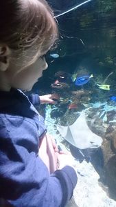 SeaLife - Val d'Europe