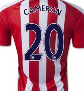 L'exemple Cameron.