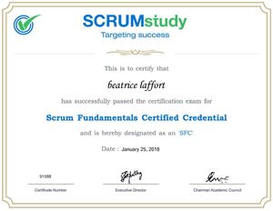 Chef de projet senior... et Scrum Master junior