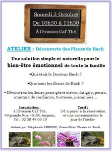 Rencontre autour des Fleurs de Bach à Jargeau le 3 octobre prochain