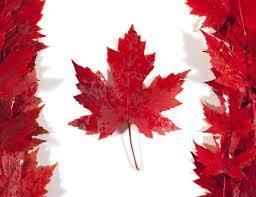PLANNING DES ACTIVITES D'OCTOBRE 2015