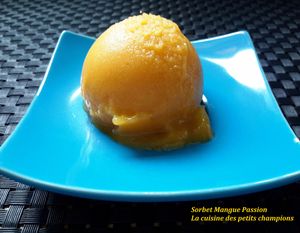 Sorbet mangue / passion