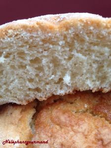 Melon Pan, y a une brioche sous le cookie