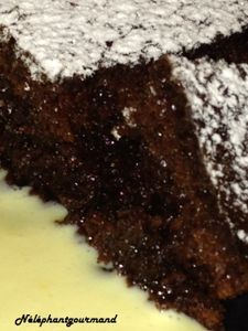 Ultra fondant renversant au chocolat