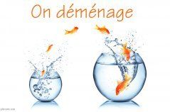 ON DEMENAGE !