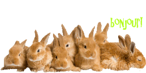 Joyeuses Pâques