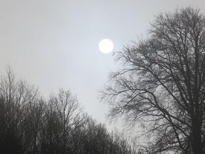 Une étoile en tête