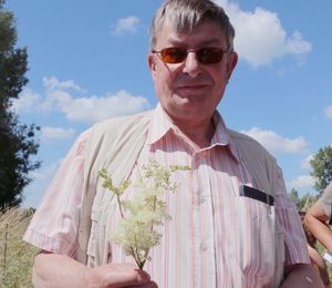 A la découverte des plantes sauvages comestibles