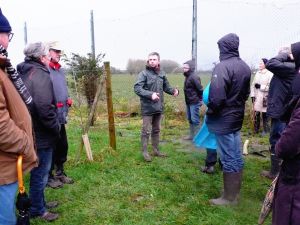 Festival de l'arbre 2015 au Jardin de l'Ermite