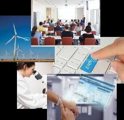 Zoom Mentorat de Startup